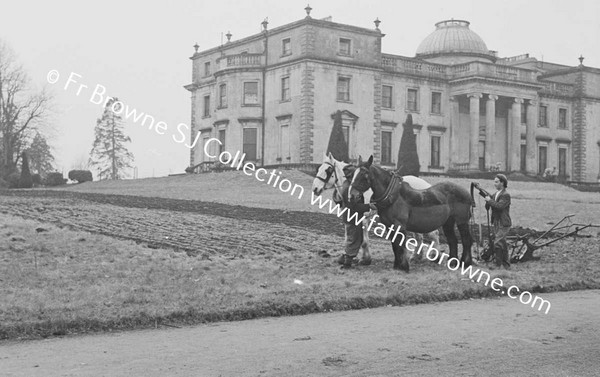 PLOUGHING OF DAIRY HILL